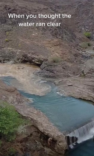 TikTok · Odie-odie-oooh