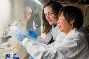 Huh? Hunger Hormone May Be Key To Stress Effects On Mental Health