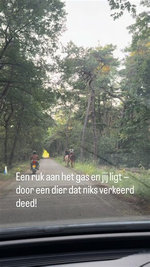 Je nadert met de motor twee paarden rechts van de weg. Dit is een risicosituatie. Paarden zijn vluchtdieren en kunnen schrikken van motorgeluid of plotselinge bewegingen. Aanpak: \t•\tSnelheid duidelijk verminderen \t•\tGas los en rustig rijden \t•\tRuime zijafstand houden \t•\tGeen plots gas, schakelen of claxon Een paard kan onverwacht de weg opspringen. Als motorrijder ben je kwetsbaar.