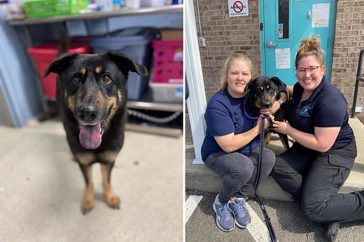 Gay couple adopts 'gay' dog after he was abandoned