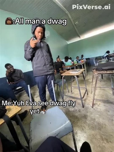 Dwag can fly?#fyp#jamaicatiktok#viral