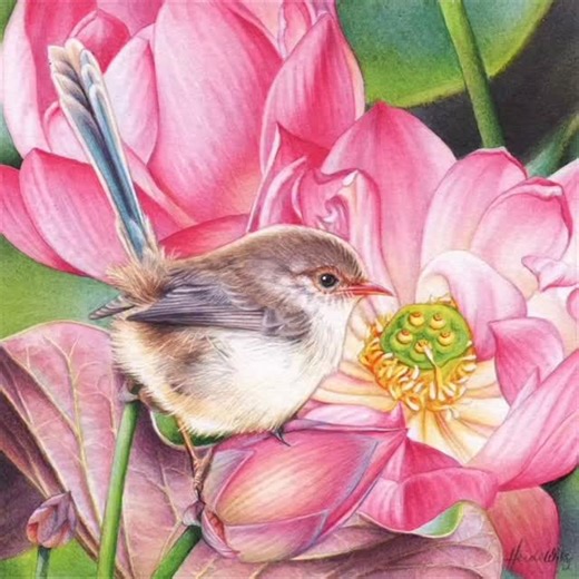 Sharing my new @ashdene_ 'Pretty Little Wren' range of products with you, which is based on a collection of miniature #wrenpainting studies from my 15x15cm series of small #birdpaintings 💕 These are some of my favourite pieces from a collection i so love working on, and its nice to see them in print ready to share with you all. Todays reel highlights the original works, along with just a few of the items available through Ashdene now. My favourite? The teatowels... I ❤️ them! If youd like to se