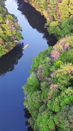 Traditional Village Fish Cooking| Fresh River Fish Recipe |Rural Cooking Style#villagestylecooking