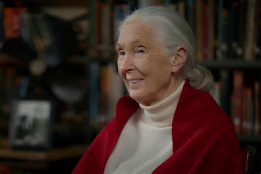 Thank you, Jane. | Apple TV