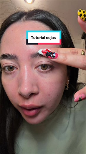 Tutorial de mi ceja de las últimas semanas, la cual me has chuleado, lo cual me sube el autoestima Tqm #ceja #geldecejasnyx #tutorial #cejaslaminadas