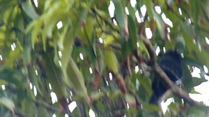 Héctor García on Reels