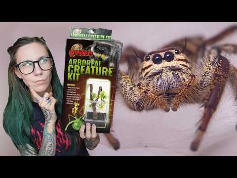 BRUTALLY HONEST Jumping Spider Kit REVIEW!.. Zoo Med’s NEW Large Arboreal Creature Kit