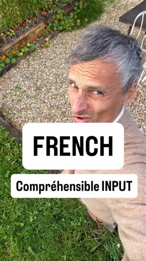 9.1K views · 315 reactions |  Comprehensible Input — ou “l’entrée...