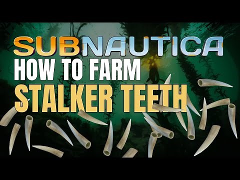 How to get stalker teeth in Subnautica