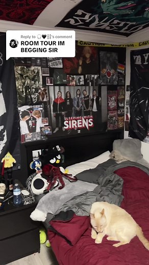 Emo Room Tour With Posters, Plushies, and Records