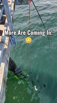 It's Not Over Yet 👌 #fishing #fyp #shorts #fypシ