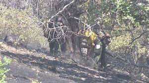 ODF breaks down fire terminology; 'mop-up' versus 'containment' - KOBI-TV NBC5 / KOTI-TV NBC2