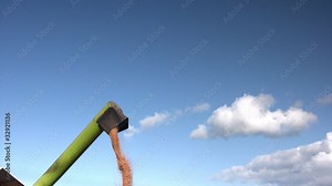 Loading harvested corn from combine into truck