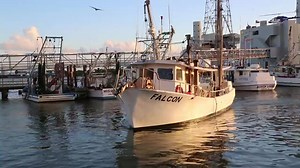 Hoping to cook some good seafood this weekend? Look not further than Katie's Seafood Market in Galveston, TX. You won't find anything fresher than fish straight from the Texas coast. #TexasAgricultureMatters | Texas Department of Agriculture