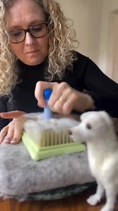 Jo Hobbs es una talentosa artista de agujas del Reino Unido, elabora esculturas realistas de animales en miniatura usando lana. Tomado de Curly Jo Creation #colosal1040am #radiocolosal #laquesiledicelaverdad | Radio Colosal