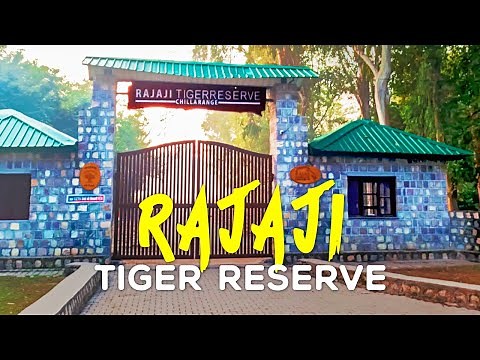Rajaji Tiger Reserve Safari 2023, Uttarakhand (Rajaji National Park) 4K Video Hindi | हिन्दी