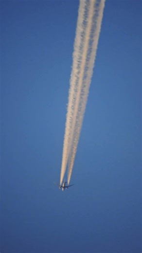 ➤Flugzeug nah beobachten | 60x Zoom | Nikon B700