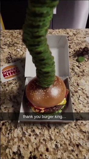 thank you burger king...