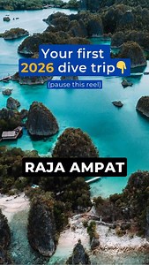 Which dive destination did you get? 🧜‍♂️ Let us know in the comments! 👇 … #diving #scuba #scubadiving #divedestinations #2026resolutions | DIVEIN.com - Scuba Diving: Gear, Travel & Guides