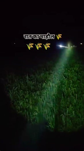 🙏✨✨✨🎂🥰🥰🥰🥰🥰🙏🙏🙏🙏🙏🙏🙏✨✨✨✨