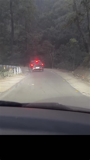 Deepankar Khulbe on Instagram: "Elephant Ko Rasta De ….❤️ #elephant #reels #reel #nature #corbett"