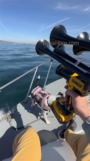 Ryobi Train Horn That's Taking Over Social Media