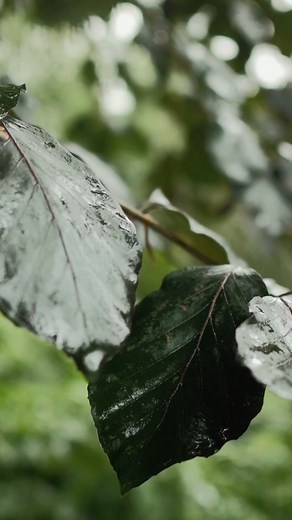 1.8K reactions · 108 shares | I don’t walk without fear because life...