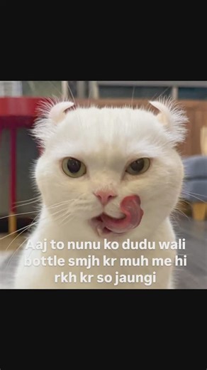 Badmosh pookie | Content Creator on Instagram: "Tag yours 🌚 .. Follow for more // @pookie_titty #arfyads #loveaesthetic #aesthetic #love #aestheticedits #aesthetics #lofiaesthetic #explorepage #explore #lovequotes #vaporwaves #lofivibes #vaporwave #lofi #lovecore #hearts #catmeme#cat#relatable#trending#viral#reel#reels#him#he#she#her#memesdaily#trendingreels"