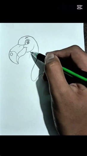 Easy flamingo🦩 Bird drawing #drawing