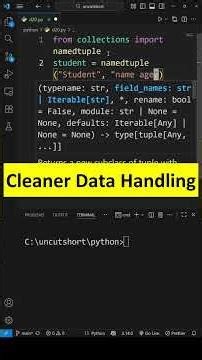 Python Namedtuple Cleaner Data Handling