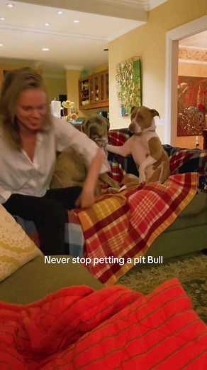 When a Dog Can't Feel Being Petted — Heartfelt Dog Moments