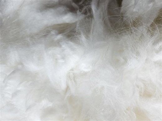 100g of Angora Wool for Spinning - Etsy UK