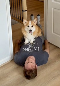 Hammy's Healthier Diet with The Farmer's Dog