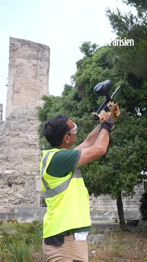 Dans le sud-est de la France, Pascal Moya utilise un fusil de paintball pour projeter des billes de phéromones dans les pins, afin de perturber la reproduction des papillons et ainsi réduire les populations de chenilles processionnaires.