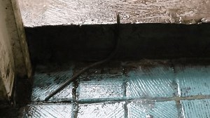 un ver de terre trouvé dans : vidéo de stock (100 % libre de droit) 3977919055 | Shutterstock