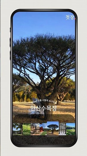쌍계사 수목장 경기도 대부도 사찰 봉안당 수목장 가격 비교플랫폼 첫장