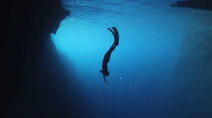 6.6K views · 79 reactions | “Be You. Be Bayer.” – Bayer’s new...