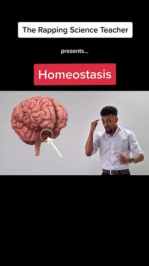 Homeostasis explained #rappingteacher #science #gcse #exams #biology #tiktokteacher #homeostasis #year10 #year11 #fyp #shookonespt2