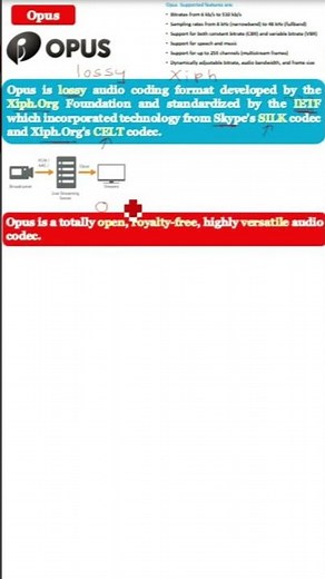 What is Opus Audio Codec|Opus Audio Codec