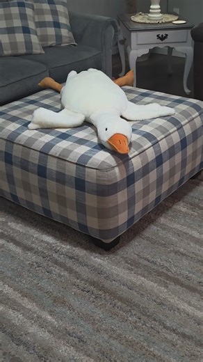 Big boy goose #bigboy #goose #vintage #plush #cottagecore