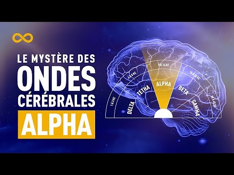 LE MYSTÈRE DES ONDES CÉRÉBRALES ALPHA (NEUROSCIENCES - CERVEAU)