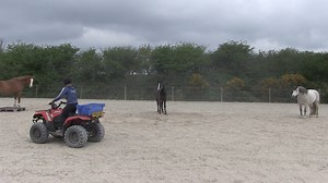 68K views · 151 shares | I decided to do a bit of traffic preparation...