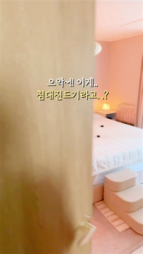 침대 진드기 문제 해결하기 위한 완벽한 가이드