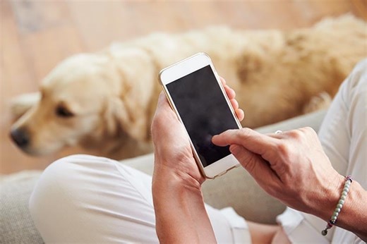 Why Do Dogs Bark When You're on the Phone and What To Do About It