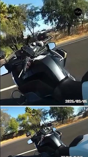 California patrol officer rescues cat from busy freeway