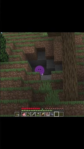 We have Purple Verity 😭🥀 #minecraft #minecraftshorts #verity #horror