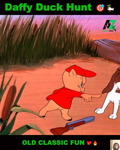 63K views · 2.5K reactions | Daffy Duck Hunt 閭 | A Wacky Wild Chase with Looney Laughs! 閭 18 #DaffyDuckHunt #LooneyTunes #ClassicCartoon #DaffyDuck #RetroToons #GoldenAgeAnimation #SlapstickComedy #CartoonChase #AnimatedFun #NostalgicVibes | Classic Cartoon | Facebook