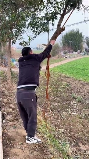 Funny Comedy Video 2026 😂 | Try Not To Laugh Challenge | Funny 720 TV Comedy