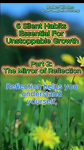 The Mirror of Reflection