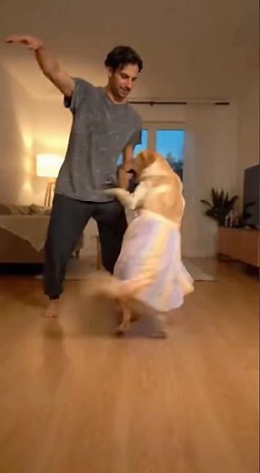 The Most Synchronized Pet Dance Ever Filmed!